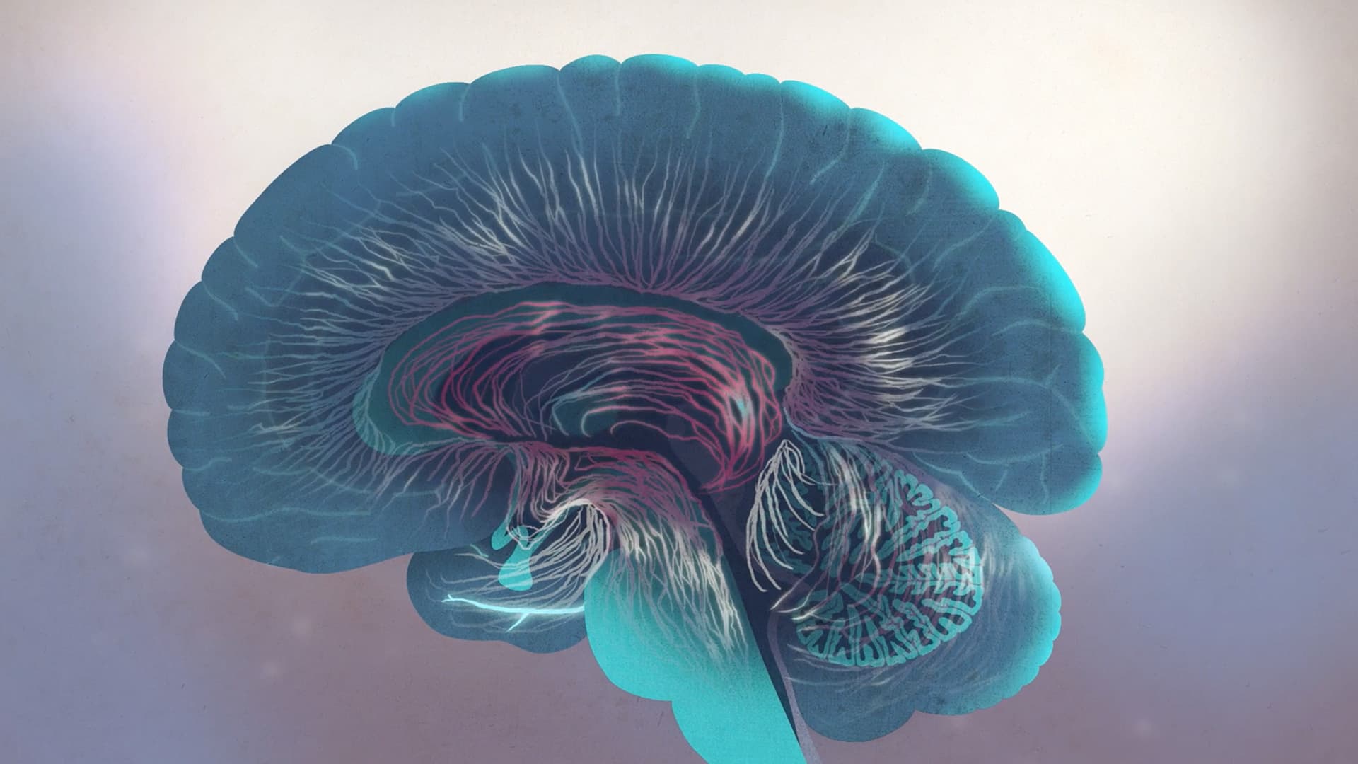 Brainfacts.org