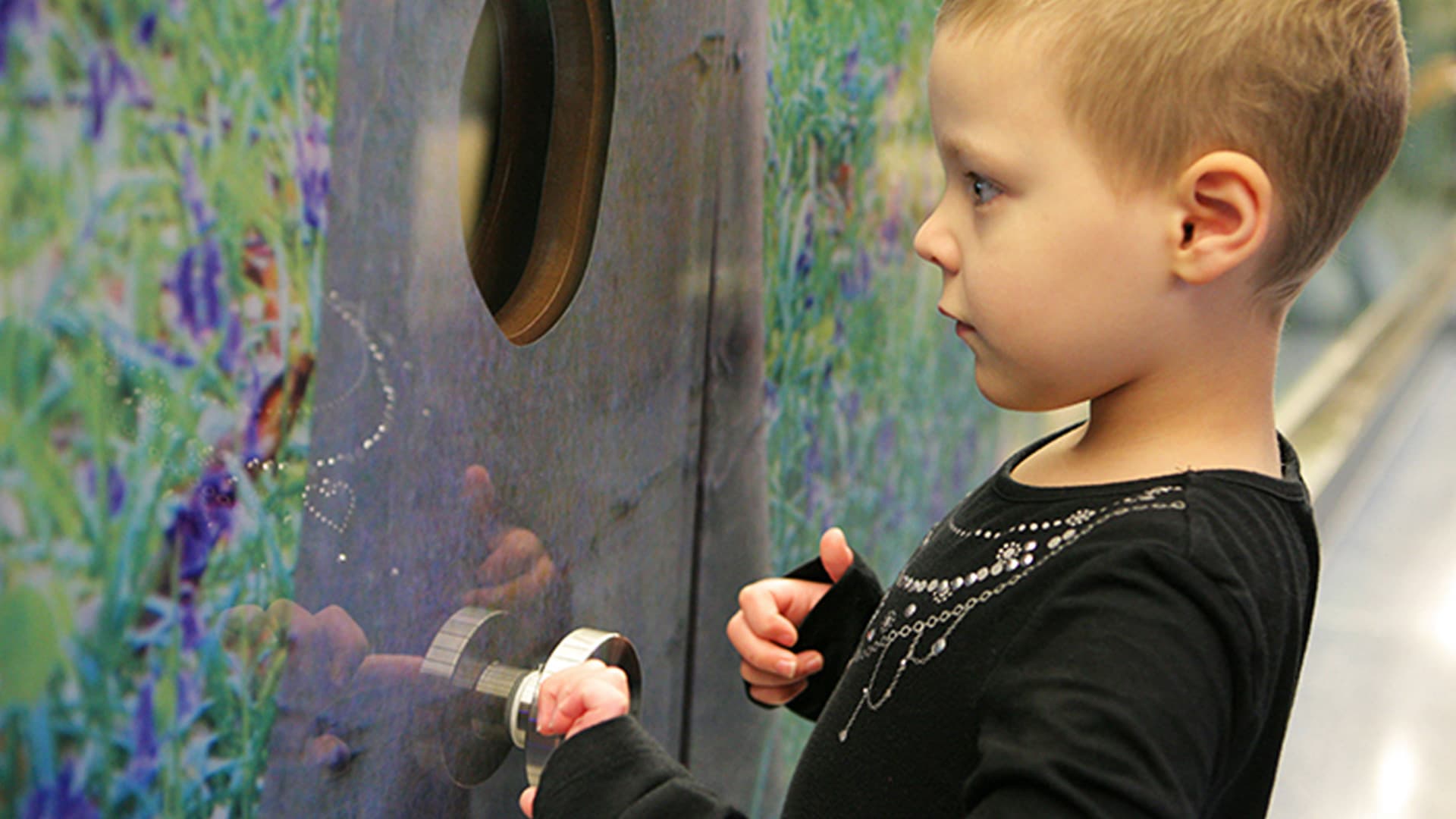 Nature Learning Wall